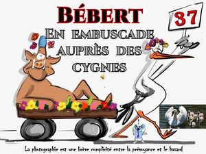 bebert_en_embuscade_aupres_des_cygnes__roland
