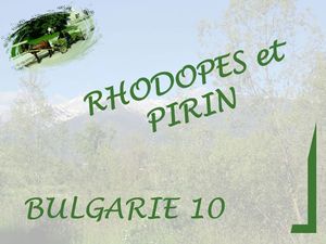bulgarie_10_rhodopes_pirin_marijo