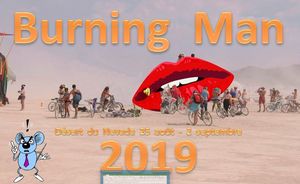 burning_man_2019_roland