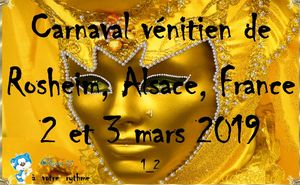 carnaval_venitien_de_rosheim_alsace_france_1_roland