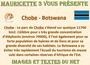 chobe_botswana_mauricette3