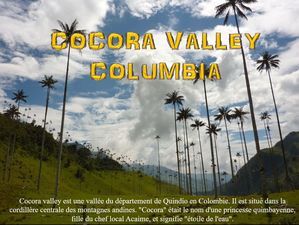 cocora_valley_columbia