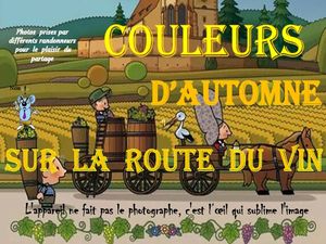 couleurs_d_automne_sur_la_route_du_vin__roland