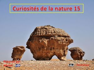 curiosites_de_la_nature_15_michel