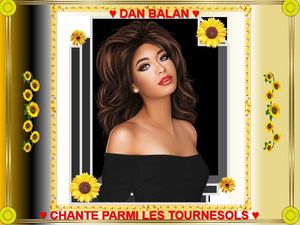 dan_balan_chante_parmi_les_tournesols_fabie_10_19