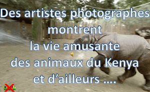 des_artistes_photographes_montrent_la_vie_amusante_des_animaux_du_kenya_roland