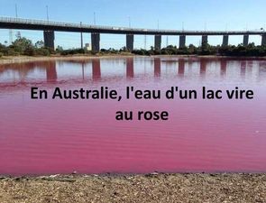 en_australie_l_eau_dun_lac_vire_au_rose_mauricette3