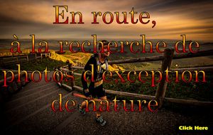 en_route_a_la_recherche_de_photos_d_exception_de_nature_roland