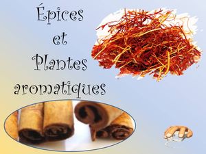 epices_et_plantes_aromatiques_p_sangarde