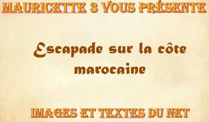 escapade_sur_la_cote_marocaine_mauricette3