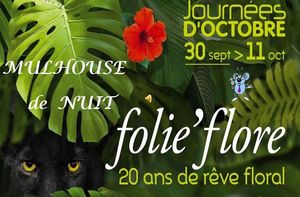 folie_flore_2020_de_mulhouse_illuminee_en_soiree__roland