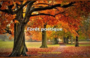 foret_poetique__jackdidier