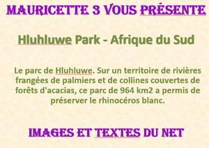 hluhluwe_park_afrique_du_sud_mauricette3