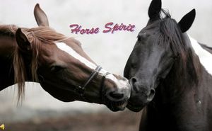 horse_spirit_stellinna