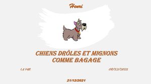 hr287_chiens_droles_et_mignons_riquet77570