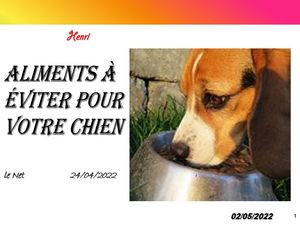 hr401_aliments_a_eviter_pour_votre_chien_riquet77570