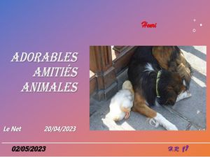hr718_adorables_amities__animales_riquet77570