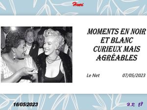 hr732_moments_en_noir_et_blanc_curieux_mais_agreables_riquet77570
