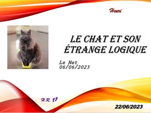 hr768_le_chat_et_son_etrange_logique