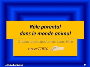 hr_role_parental_dans_le_monde_animal_riquet77570