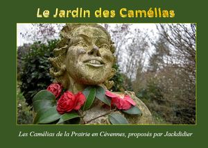 jardin_des_camelias__jackdidier