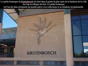kirstenbosch_national_botanical_garden_ibolit