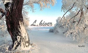 l_hiver_mimi_40
