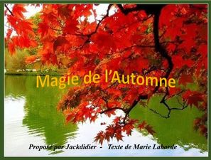la_magie_de_l_automne_jackdidier