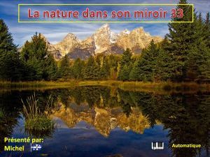 la_nature_dans_son_miroir_33_michel