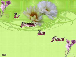 le_pouvoir_des_fleurs_dede_51
