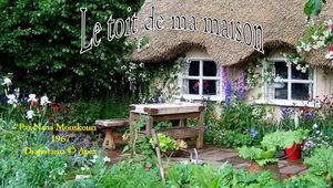 le_toit_de_ma_maison_apex