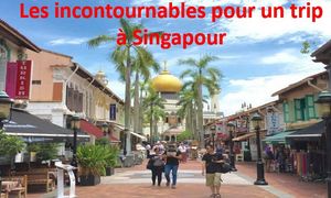 les_incontournalbes_pour_un_trip_a_singapour_mauricette3
