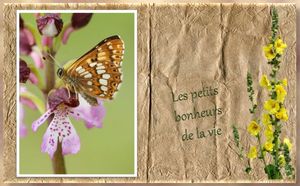 les_petits_bonheurs_de_la_vie_reginald_day