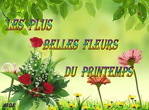 les_plus_belles_fleurs_du_printemps_dede_51
