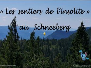 les_sentiers_de_l_insolite_au_schneeberg__roland