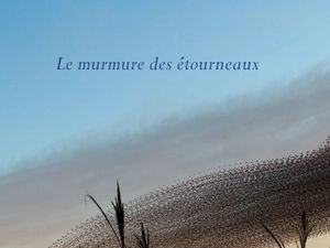 murmure_des_etourneaux__reginald_day