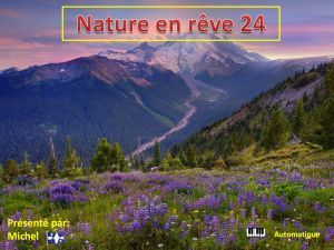 nature_en_reve_24_michel