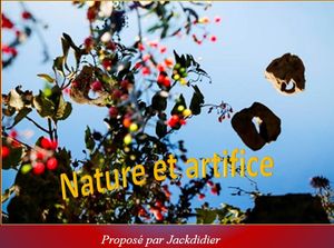 nature_et_artifice_jackdidier