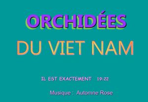 orchidees_du_vietnam