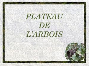 plateau_arbois_marijo