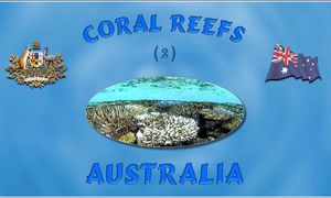 recifs_coralliens_australie_2_steve