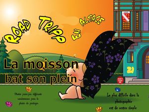 road_tripp_en_alsace_21_la_moisson_bat_son_plein__roland