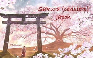 sakura__cerisiers__japon_mimi_40