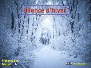 silence_d_hiver_michel