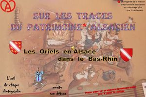 sur_les_traces_du_patrimoine_d_alsace_les_oriels_dans_le_bas_rhin__roland