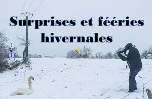 surprises_et_feeries_hivernales__roland