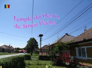 temple_du_destin_de_sinca_veche__stellinna