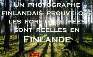 un_photographe_finlandais_prouve_que_les_forets_de_fees_sont_reelles_en_finlande_roland