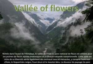 valley_of_flowers_national_park_himalaya_india_by_ibolit