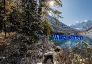 white_season_stellinna